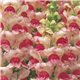 Насіння Левиний зів (Антирринум) Опус F1 яблуневий цвіт