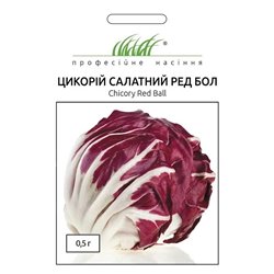 Семена цикорий салатный Ред Бол