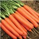 Насіння моркви Нантес Тіп-Топ