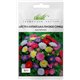 Насіння айстра низькоросла Пінокіо 0,1 гр.