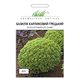 Семена базилика карликовый Греческий 0,5 гр.