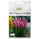 Насіння Ліатріс колосковий рожево-пурпуровий 0,3 гр.
