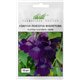 Насіння Азаріна повзуча фіолетова 10 шт.