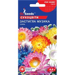 Насіння квiткова сумiш Застигла музика сухоцвіти 0,5 гр.