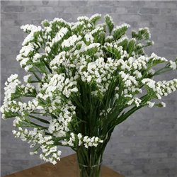 Семена статица Айсберг 10 гр.