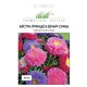 Насіння айстри Принцеса Бенарі суміш