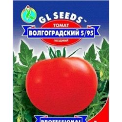 Насіння томату Волгоградський 5/95 пакет-гігант