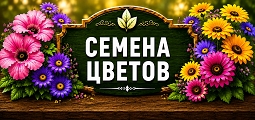Семена цветов