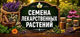Семена лекарственных трав