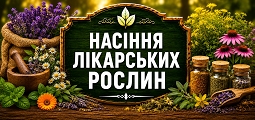 Насіння лікарських рослин