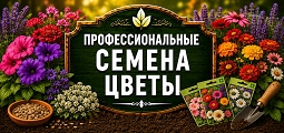 Профессиональные семена цветов