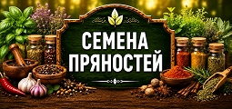 Семена пряностей