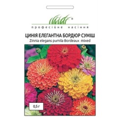 Насіння цинія (майорці) елегантна Бордюр 0,5 гр.
