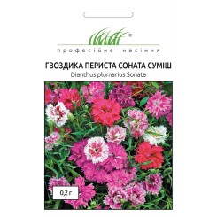Насіння гвоздики перистої Соната суміш 0,2 гр.