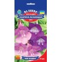 Семена маурандии Азарина смесь 5 шт.