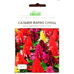 Насіння сальвії Фарао суміш 0,1 гр.