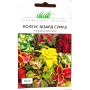 Семена колеус Визард смесь 20 шт.