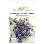 Насіння Лаванди Елеганс суміш 20 шт.