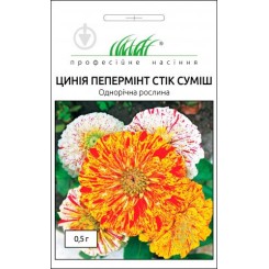 Насіння цинія (майорці) Пепермінт стік суміш 0,5 гр.