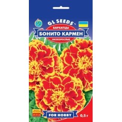 Семена бархатцев Бонито Кармен GL Seeds