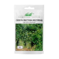 Семена сельдерея листового Вестленд 0,5 гр.