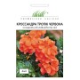 Семена кроссандры Тропик красный 4 шт.