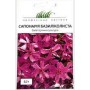 Семена сапонария базиликолистная 0,3 гр.
