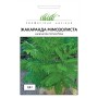 Насіння Жакаранда Мімозолиста 0,8 гр.