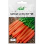 Семена моркови Нантес Тип-Топ 1 гр.