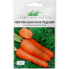 Семена моркови Шантане Ред Кор 1 гр.