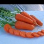 Семена моркови Шантане Ред Кор 1 гр.