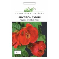 Насіння абутілону суміш 0,2 гр.