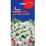 Насіння аліссума Снiговий килим 0,1 гр.