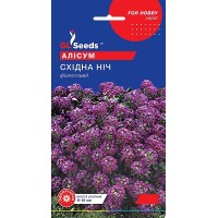 Насіння аліссума Східна ніч 0,1 гр.