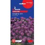 Семена алиссума Восточная ночь 0,1 гр.