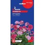 Семена армерии Ариадна смесь 0,1 гр.