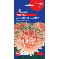 Семена астры Аполония Шамоа