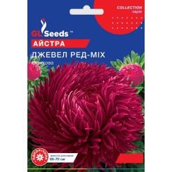 Семена астры Джевел Рэд 0,5 гр.