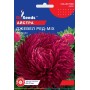 Насіння айстри Джевел Ред 0,5 гр.