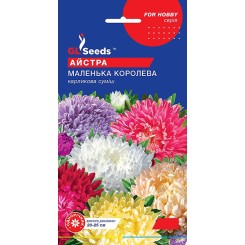 Насіння айстри карликової Маленька Королева mix 0,3 гр.