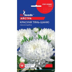 Семена астры пионовидной Красавица Тянь-Шаня 0,3 гр.