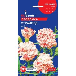 Насіння гвоздики Страйпед шабо