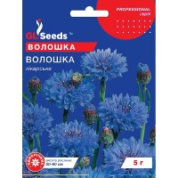 Насіння Волошка Блакитна куля лікарська 5 гр