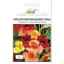 Семена настурция махровая Везувий смесь 2,0 гр.