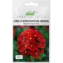 Семена вербены крупноцветковой красной 0,1 гр.