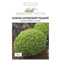 Семена базилика карликовый Греческий 0,5 гр.