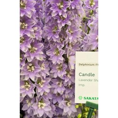 Семена дельфиниума Кенделл F1 lavender shades3 шт.