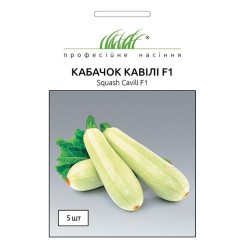Семена кабачка Кавили F1 5 шт.