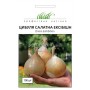 Насіння цибулі салатної Ексібішен 0,5 гр.