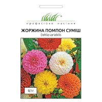 Насіння жоржини Помпон суміш 0,2 гр.